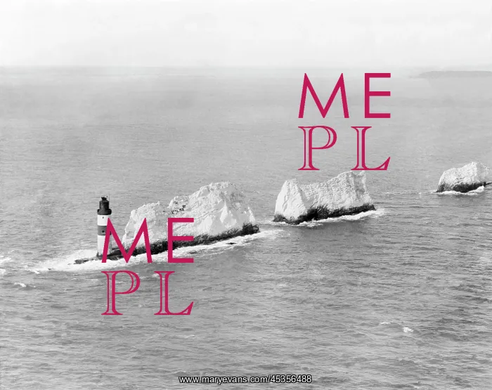 : The Needles : The Needles