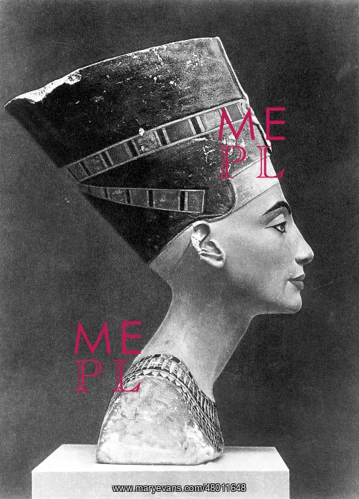 : Nefertiti, Egyptian Queen of the 14th century BC : Nefertiti, Egyptian Queen of the 14th century BC