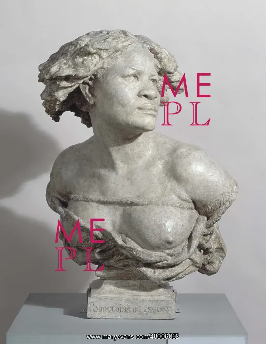 : The negress, and why be born a slave : The negress, and why be born a slave