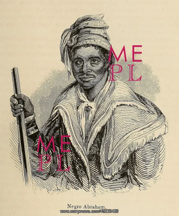 : Negro Abraham was an African Seminole warrior ? : Negro Abraham was an African Seminole warrior ?
