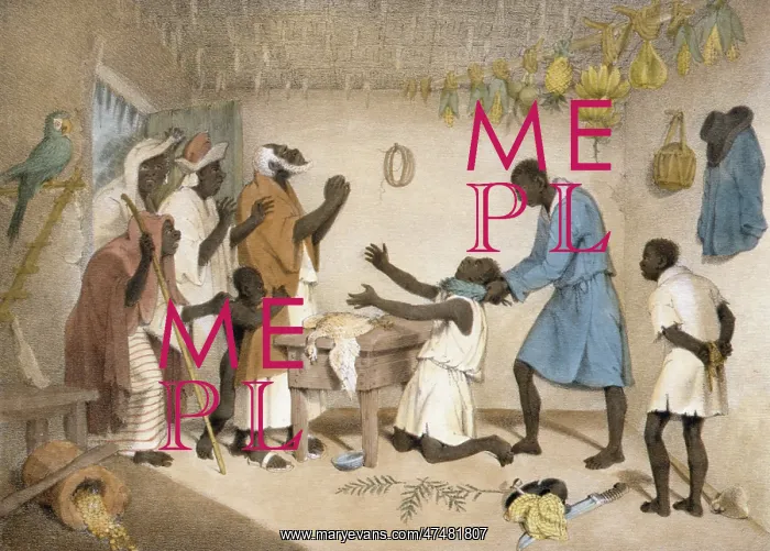 : Negro superstition, the doo di doo bush, -- or which is the : Negro superstition, the doo di doo bush, -- or which is the