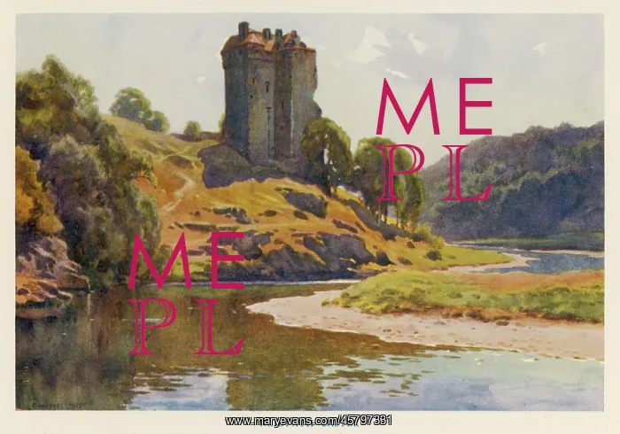 : NEIDPATH CASTLE C20 : NEIDPATH CASTLE C20