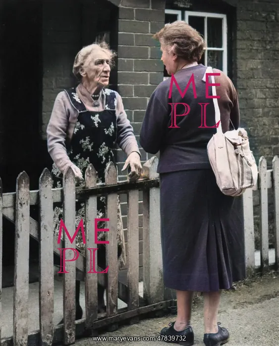  : Two neighbours chatting over a fence