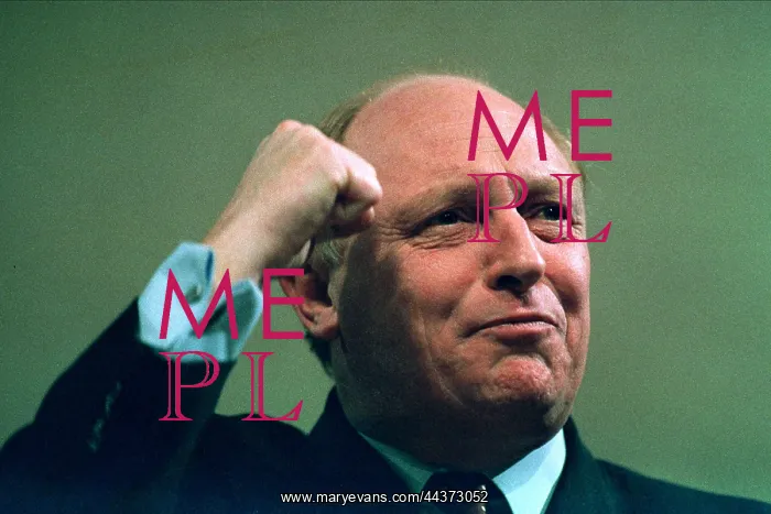  : Neil Kinnock MP