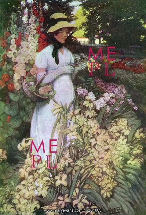 : NELLY CUSTIS : NELLY CUSTIS
