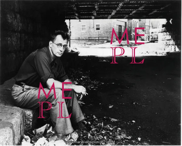 : Nelson Algren, writer, literature : Nelson Algren, writer, literature