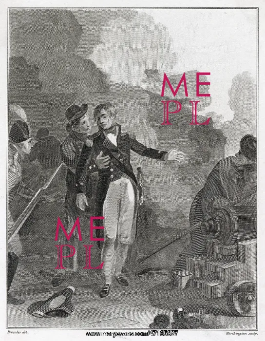 : Nelson blinded at Calvi, Corsica : Nelson blinded at Calvi, Corsica