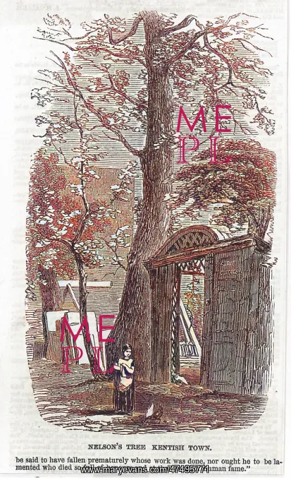 : NELSON / TREE / KENTISH TOWN : NELSON / TREE / KENTISH TOWN