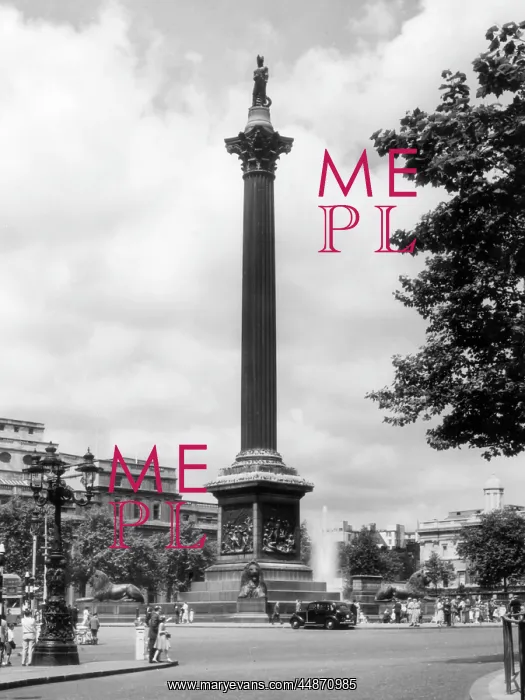 : NELSON'S COLUMN : NELSON'S COLUMN