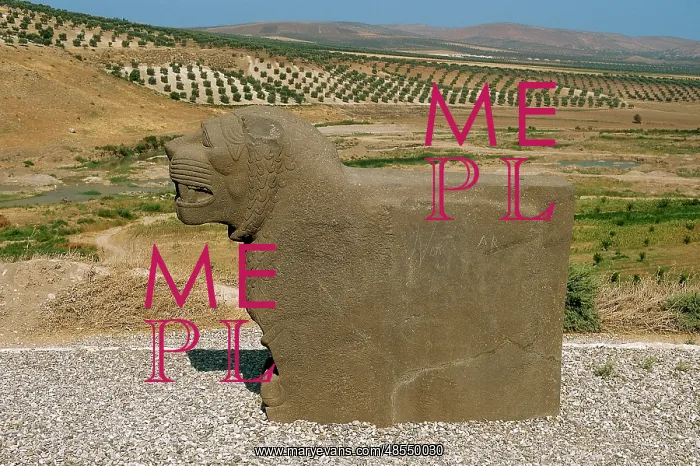 : Neo-Hittite. Colossal basalt lion found in 1955. Ain Dara Te : Neo-Hittite. Colossal basalt lion found in 1955. Ain Dara Te