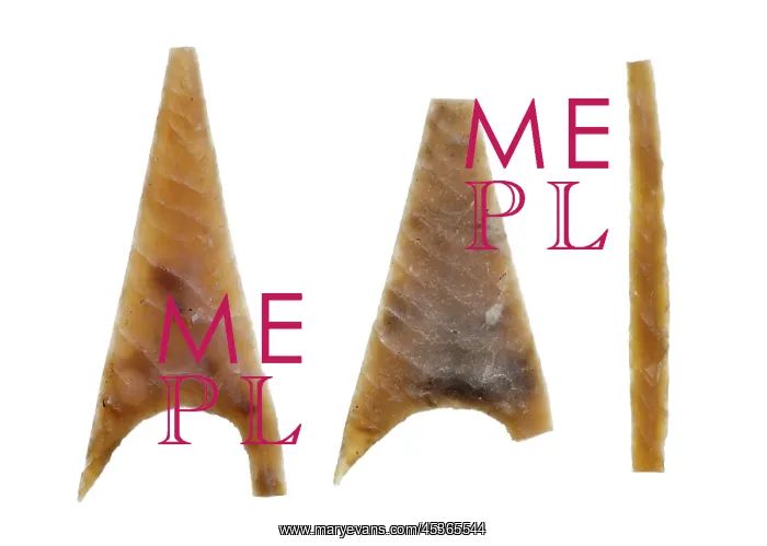  : Neolithic arrowheads