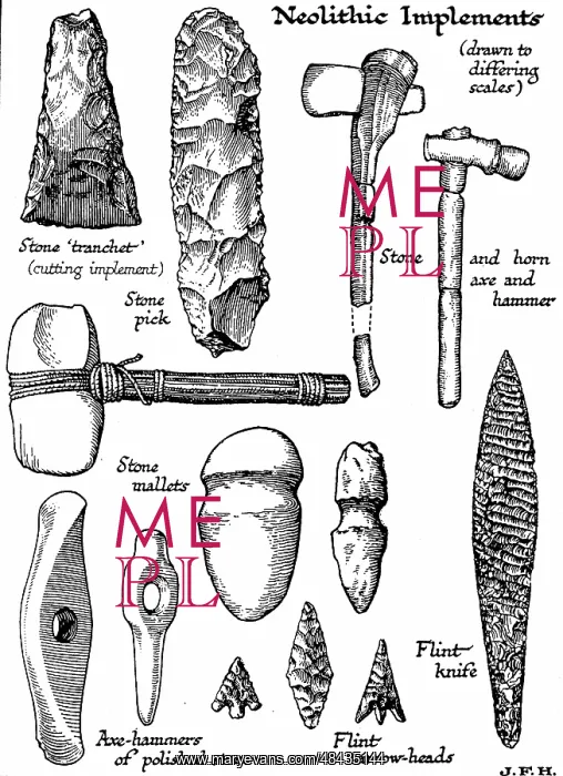 : Neolithic implements of stone, flint and horn : Neolithic implements of stone, flint and horn