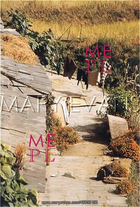  : NEPAL / ANNAPURNA 15 HOME