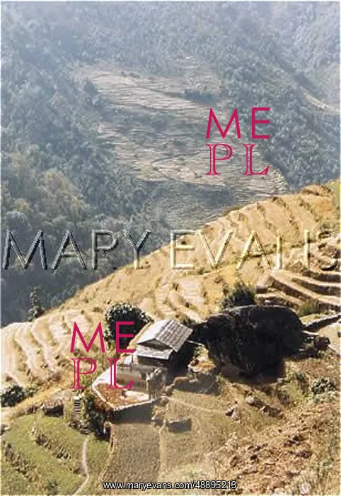 : NEPAL / ANNAPURNA 18 HIGH : NEPAL / ANNAPURNA 18 HIGH