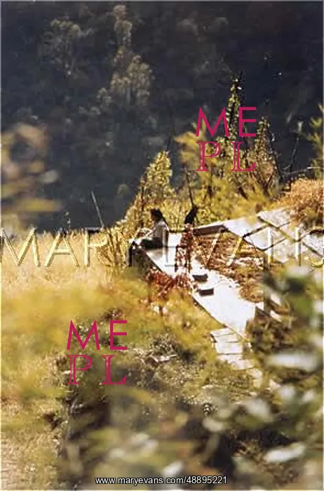 : NEPAL / ANNAPURNA 19 REST : NEPAL / ANNAPURNA 19 REST