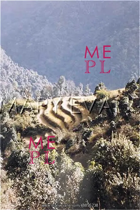: NEPAL / ANNAPURNA 21 GEN : NEPAL / ANNAPURNA 21 GEN
