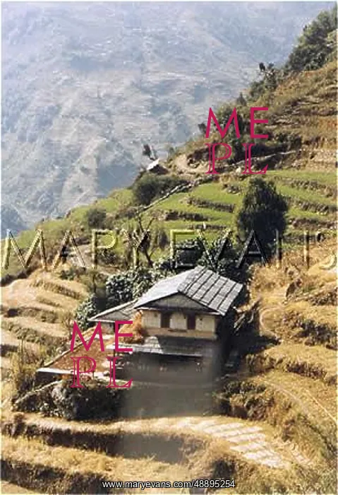  : NEPAL / ANNAPURNA 22 FARM