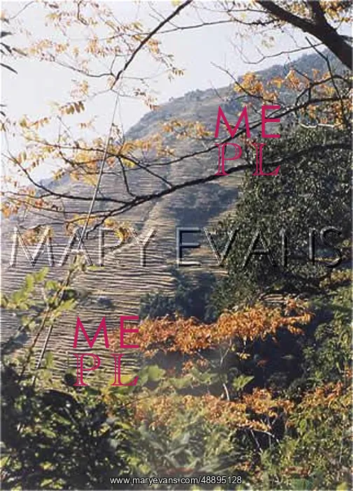 : NEPAL / ANNAPURNA 5 TREES : NEPAL / ANNAPURNA 5 TREES