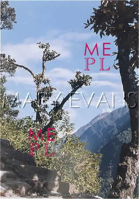 : NEPAL / ANNAPURNA 7 TREES : NEPAL / ANNAPURNA 7 TREES
