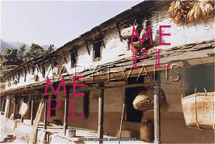  : NEPAL / ANNAPURNA 8 HONEY