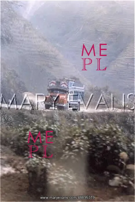  : NEPAL SCENERY / LORRY 1992