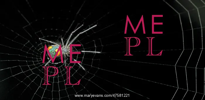 : Nephilengys malabarensis, orb-web spider : Nephilengys malabarensis, orb-web spider