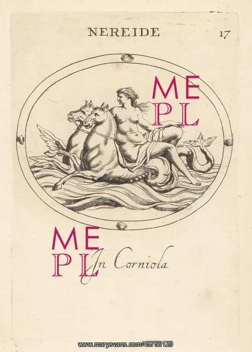 : Nereid riding hippocamps in the ocean : Nereid riding hippocamps in the ocean