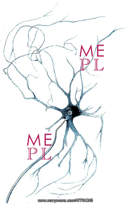 : Nerve Cell from Spinal Cord, Deiters, 1865 : Nerve Cell from Spinal Cord, Deiters, 1865