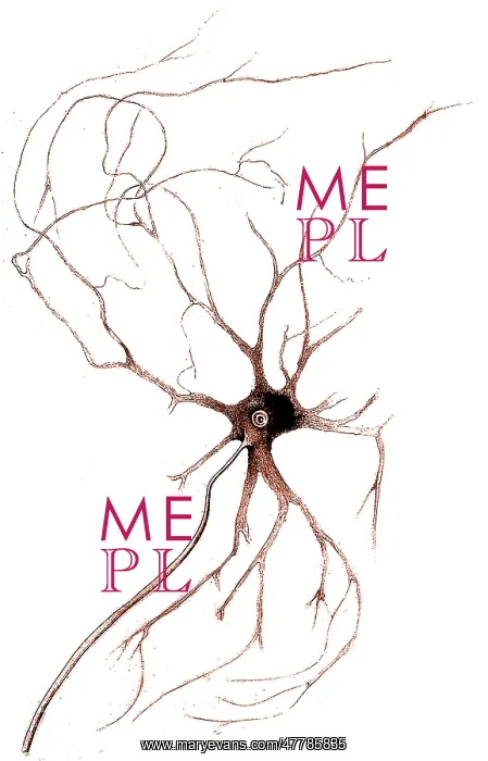 : Nerve Cell from Spinal Cord, Deiters, 1865 : Nerve Cell from Spinal Cord, Deiters, 1865