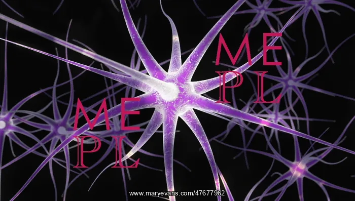 : Nerve Cells, Illustration : Nerve Cells, Illustration
