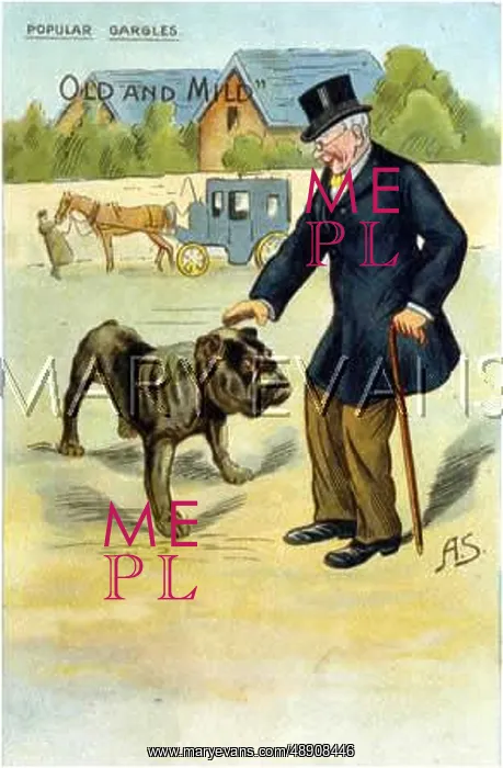 : NERVOUS MAN + BULLDOG : NERVOUS MAN + BULLDOG