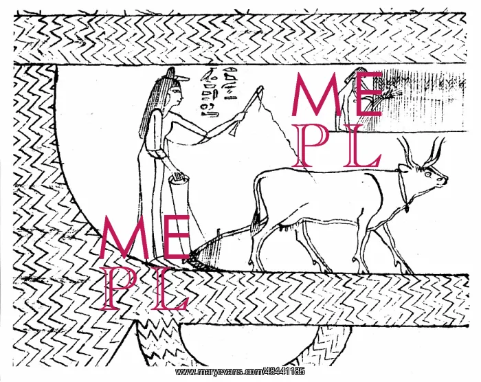 : Nesitanebtashru ploughing and reaping. From The : Nesitanebtashru ploughing and reaping. From The