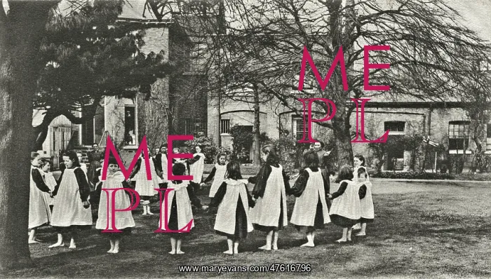 : The Nest, Clapton - Garden : The Nest, Clapton - Garden