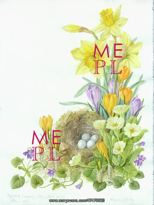  : nest with eggs with flowers