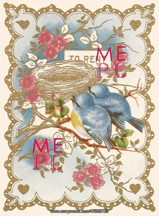  : Nest for Rent