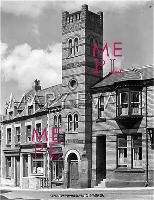 : NESTON FOLLY : NESTON FOLLY
