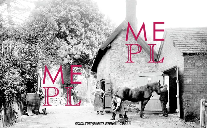  : Nether Alderley, Village Smithy 1896