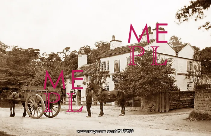  : Nether Alderley - The Wizard - Victorian period
