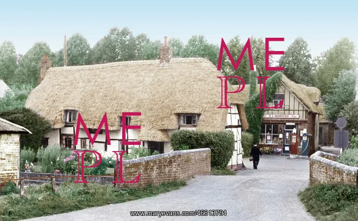  : Nether Wallop, the Square c1955