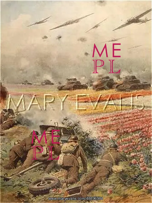 : NETHERLANDS BLITZED : NETHERLANDS BLITZED