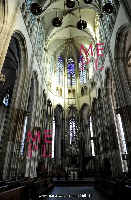 : Netherlands. Utrecht. St. Martin's Cathedral. Gothic. Interi : Netherlands. Utrecht. St. Martin's Cathedral. Gothic. Interi