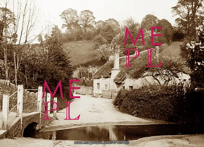  : Netherton near Newton Abbot, Devon, early 1900s
