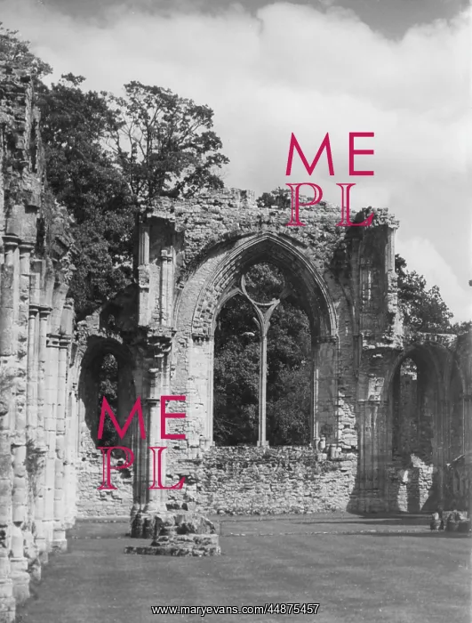  : NETLEY ABBEY