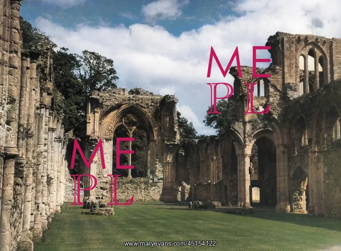 : NETLEY ABBEY : NETLEY ABBEY