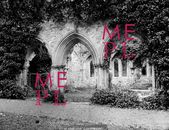 : Netley Abbey : Netley Abbey