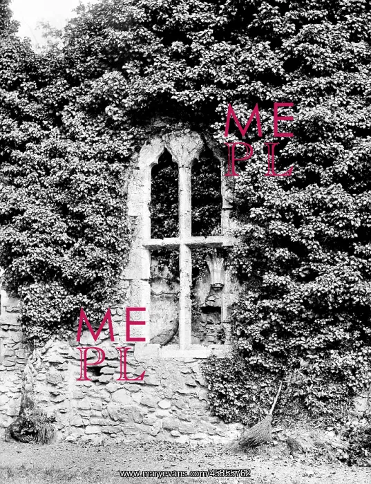: Netley Abbey : Netley Abbey