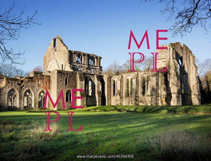  : Netley Abbey