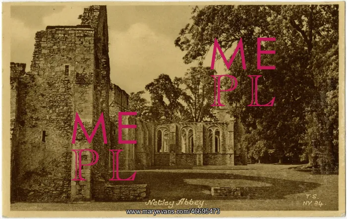 : Netley Abbey : Netley Abbey
