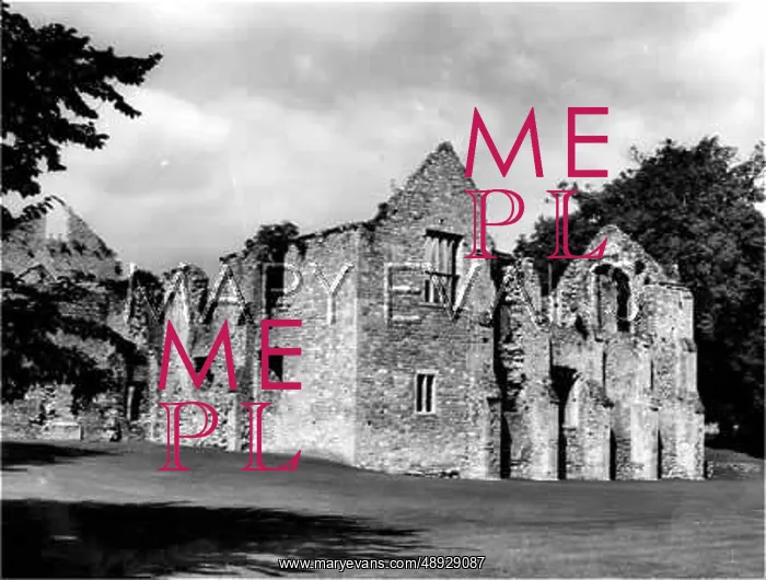  : NETLEY ABBEY