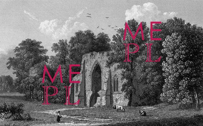  : Netley Abbey, Hampshire